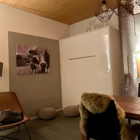 Alpenlaendischer Chic Apartment *