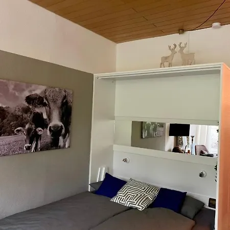 Alpenlaendischer Chic Apartment *