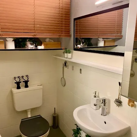 Alpenlaendischer Chic Apartment Oberstdorf